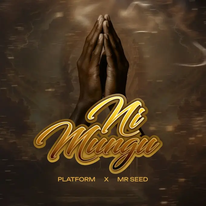 Platform Ft Mr Seed - Ni Mungu Platform Ft Mr Seed - Ni Mungu