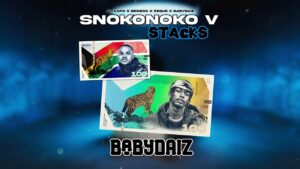 Al Xapo, Benzoo, Eeque & BabyDaiz - SNOKONOKO V