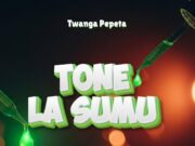 Twanga Pepeta – Tone La Sumu