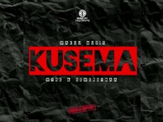 Wakuu Music Ft Wyre & Mkadinali – Kusema