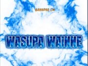 Breeder LW – Wasupa Wainne