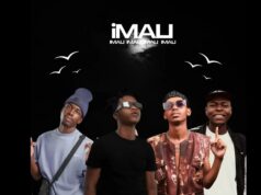 DrummeRTee924 & ZuluBoy Musique – Dedeleni