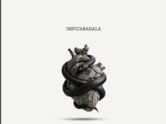 Msheke Lezinto, LeeMcKrazy & Carnival King – Impicabadala Ft Nandi Ndathane & Sinny Man’Que