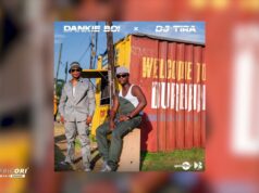 Dankie Boi & DJ Tira – Non Stop Ft Blacks Jnr & Goldmax