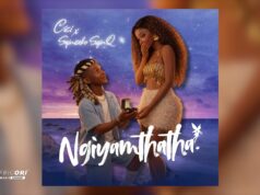 Cici, Sqiniseko SqinQ – Ngiyamthatha