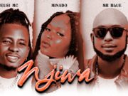 Jeusi Mc Ft Minado & Mr Blue – Njiwa
