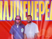 Mulei Nasibu – Najinenepea Ft Kelechi Africana