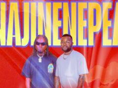 Mulei Nasibu – Najinenepea Ft Kelechi Africana