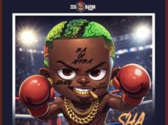 Portable – Sha Guide