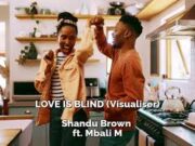 Shandu Brown – Love Is Blind Ft Mbali M