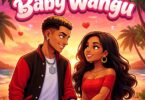 Don Breezy - Baby Wangu