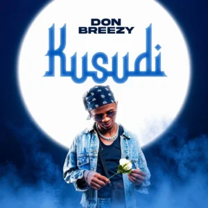 Don Breezy - Kusudi