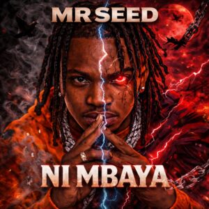 Mr Seed - Ni Mbaya