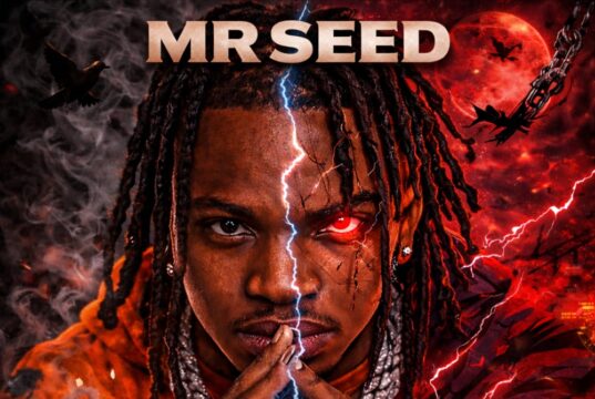 Mr Seed – Ni Mbaya Mr Seed - Ni Mbaya