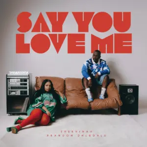 Shekhinah Ft Brandon Dhludhlu - Say You Love Me