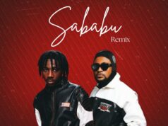 Udoo Ft Moni Centrozone – Sababu (Remix) Udoo Ft Moni Centrozone - Sababu (Remix)