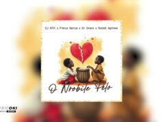 DJ NTK, Prince Benza, Naledi Aphiwe & Dr Skaro – O Nrobile Pelo