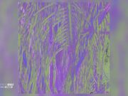 Omagoqa, Sizwe Alakine & K.Keed – Jumanji Ft Jepedoh, Mvelo Makhanya & Ms. Cosmo