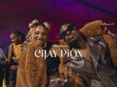 Crysto Panda Ft Spice Diana – Continue