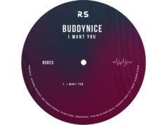 Buddynice – I Want You