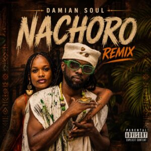 Damian Soul - Nachoro Remix