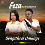 Feza - Sengithole Omunye Remix Ft Chulumanco M