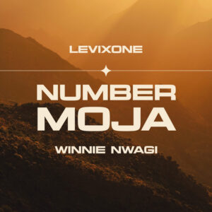 Levixone Ft Winnie Nwagi - Number Moja