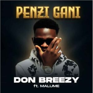 Don Breezy Ft Malume - Penzi Gani