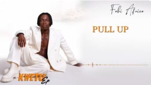 Fabi Africa Ft Chidi Benz - Pull Up