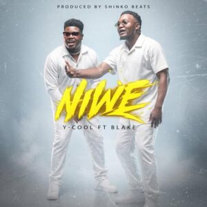 Y-Cool Ft Blake - Niwe