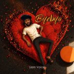 Liam Voice - Byebyo