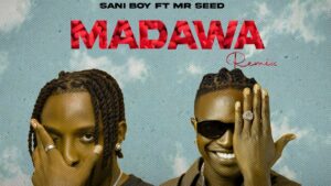 Sani Boy Ft Mr Seed - Madawa Remix