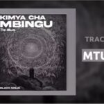 Black Ninjah - Mtundu (Punguani)