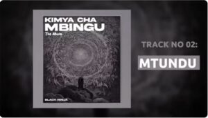 Black Ninjah - Mtundu (Punguani)