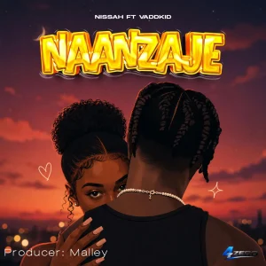 Nissah Ft Vaddkid - Naanzaje