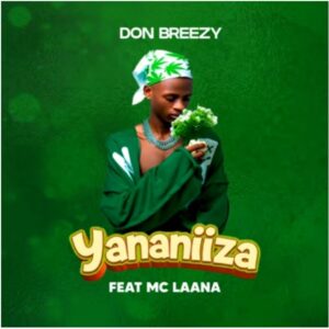Don Breezy Ft Mc Laana - Yananiiza