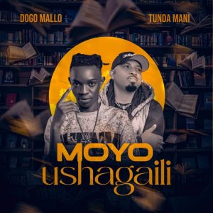 Dogo Mallo Ft Tundamani - Moyo Ushagaili