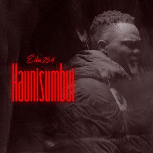 Echo254 - Haunisumbui