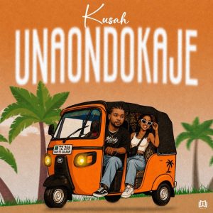 Kusah - Unaondokaje