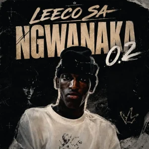Leeco sa – Ngwanaka 0.2