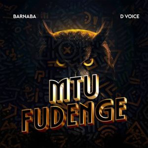 Barnaba Ft D Voice - Mtu Fudenge