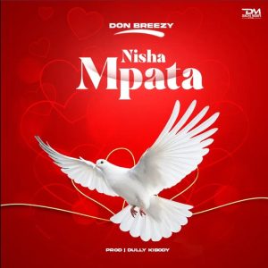 Don Breezy Ft Mbwido - Nishampata