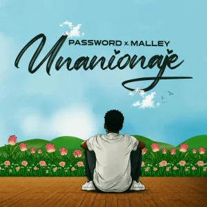 Password Ft Malley - Unanionaje