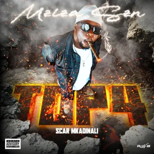 Scar Mkadinali - Top4