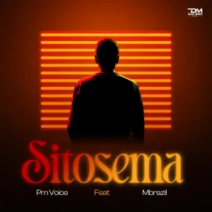 PM Voice Ft Mbrazil - Sitosema
