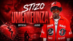 Stizo - Umenifunza