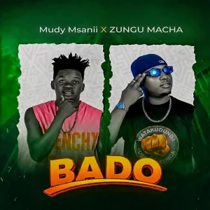 Mudy Msanii Ft Zungu Macha - Bado