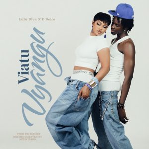 Lulu Diva Ft D Voice - Viatu Vyangu