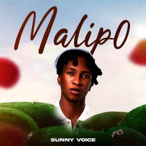 Sunny Voice - Malipo