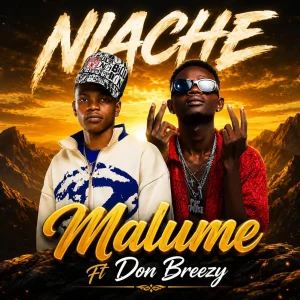 Malume Ft Don Breezy - Niache